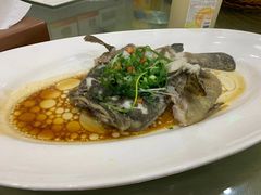 -新天明砂锅鱼头煲