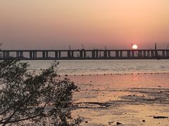 -宝安西湾红树林湿地公园