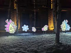 -中旅松花湖滑雪场