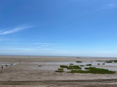 -启东黄金海滩景区