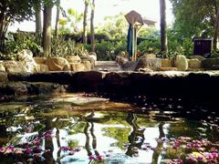 -厦门日月谷温泉渡假村