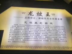 -海南槟榔谷黎苗文化旅游区