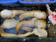 -吴记富苑(朝阳店)