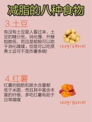 -Fundi张玉珊修身堂·indiba·BTL科技瘦身