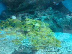 -波塞冬旅游度假区