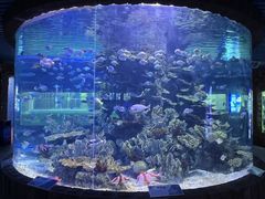 -左海海底世界