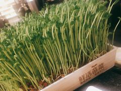 -湊湊火锅·茶憩(打浦桥日月光店)