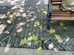 -吴山烤禽 (吴山路店)