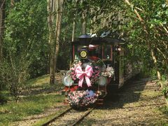 -合肥滨湖国家森林公园