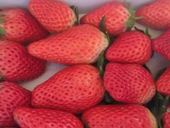 -杜六房(大沽路店)