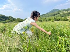 -白草畔自然风景区