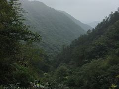 -东天目山风景区