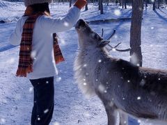 -长白山红松王滑雪场