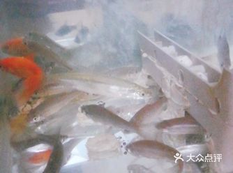 又没下得去手，就这样，一晃三年都过去了