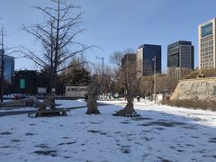 -元大都城垣遗址公园