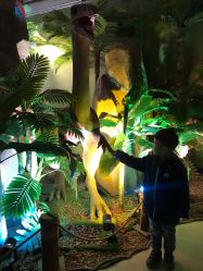 点击看大图 -恐龙探索乐园(磁器口店)