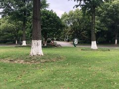 -花溪公园