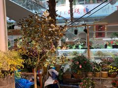 -双季花艺园艺市场(浦东店)