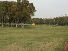 -艾溪湖湿地公园