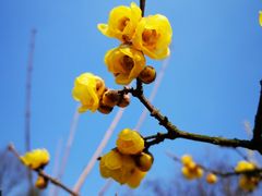 -白塘生态植物园