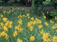 -国家植物园南园