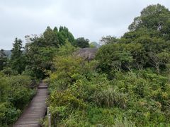-大罗山风景区