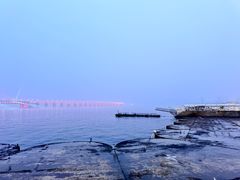 -星海广场