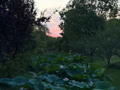 -上海交通大学(闵行校区)