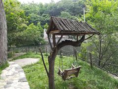 -无染寺