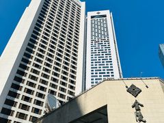 -南京金陵饭店