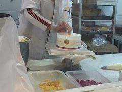 -维尔纳斯·生日蛋糕·动物奶油冰淇淋蛋糕(六里桥店)