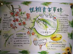 -上海昆虫博物馆