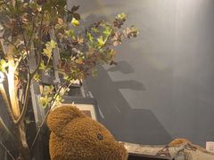 -咖法森林·咖啡  酒吧(天河店)