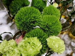 -EPOQUE·一刻花店(兴业太古汇店)