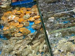 -船奇蒸汽海鲜·闽菜(八市海鲜总店)