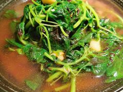 -新白鹿餐厅(嘉兴八佰伴华府店)