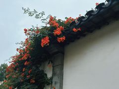 -青果巷历史文化街区