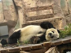 -无锡动物园·太湖欢乐园