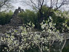 -无锡蠡湖国家湿地公园-蠡园