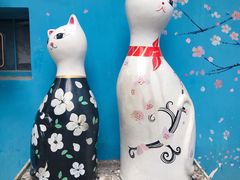 -猫咪博物馆(顶澳仔猫街店)