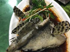 石斑鱼清蒸-四川小胡子海鲜(丁村万人海鲜广场店)