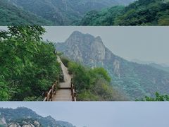 -大岭沟猕猴桃谷风景区