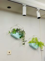点击看大图 -Aso Artist Beauty美甲美睫