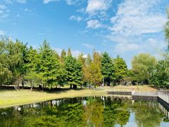 -同里国家湿地公园