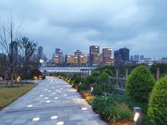 -摆渡站(董家渡站)