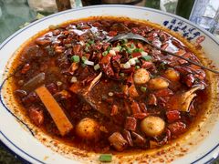 -青城甲(青城山店)