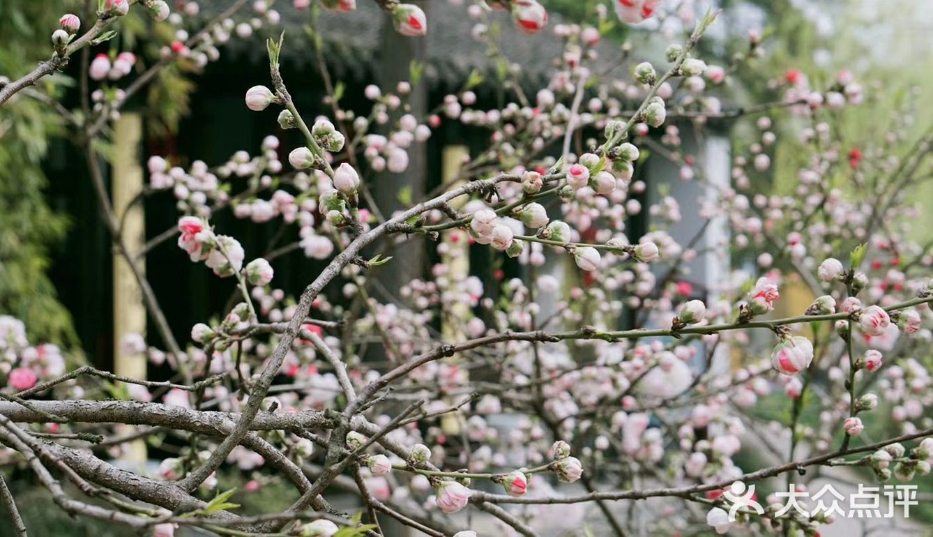五丁包,肴肉,干丝,个顶个地巧夺天工,精心调味