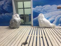 -成都浩海立方海洋公园