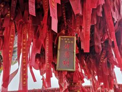 -陕西省红河谷森林公园