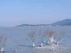 -东山风景区(洞庭东山)